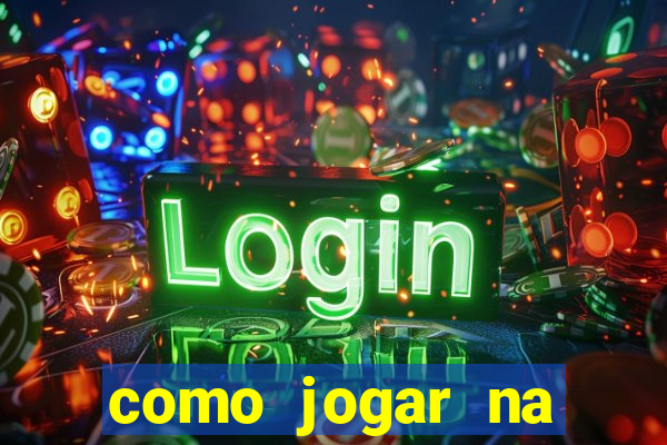 como jogar na lotinha do jogo do bicho