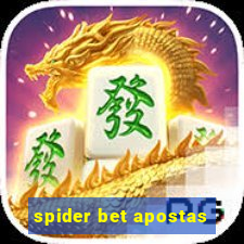 spider bet apostas