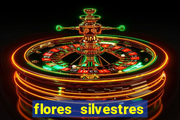 flores silvestres desbravadores desbravadores 25 flores silvestres e seus nomes