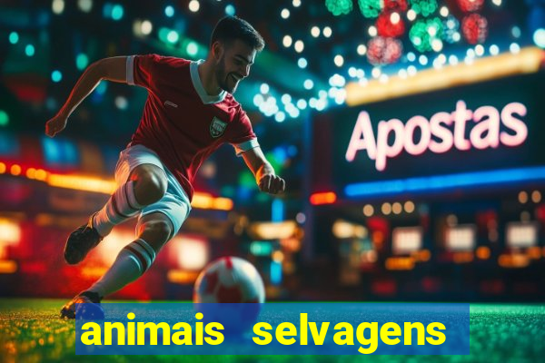 animais selvagens fotos e nomes