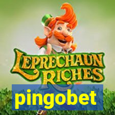 pingobet