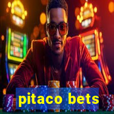 pitaco bets