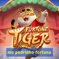 mc pedrinho fortuna